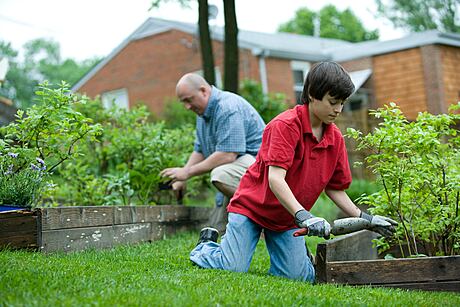 Useful Tips to Help You Transform Your Garden - 2