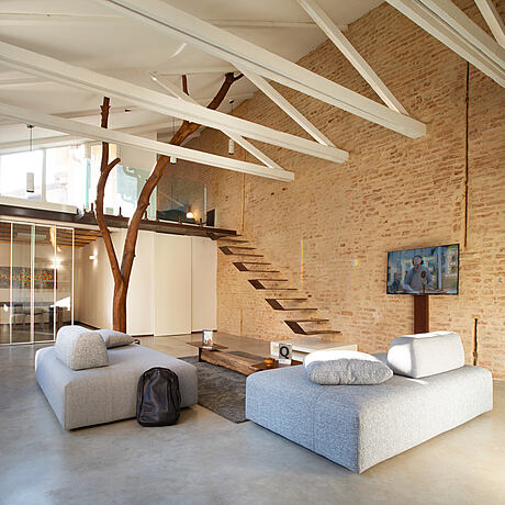 Tree Loft by Q.O.S. Studio - 1