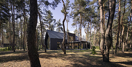 House Among the Pines by ArchObraz - 1