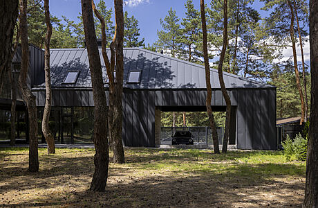 House Among the Pines by ArchObraz