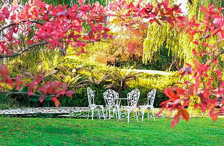 6 Ideas to Help you Decorate the Garden of your Dreams