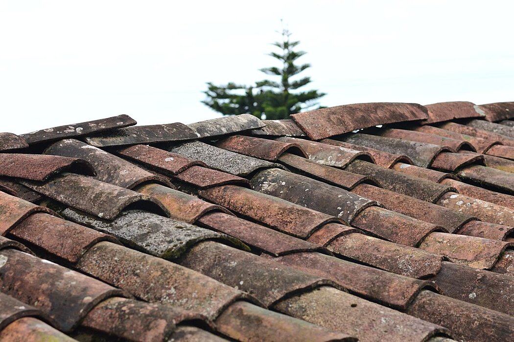Close-up of aged terracotta roof tiles with tree and sky in the background