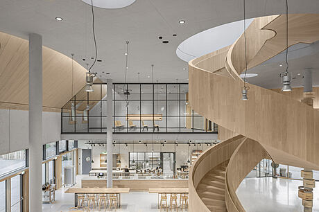 Discover Rapunzel World: An organic visitor center in Legau - 5