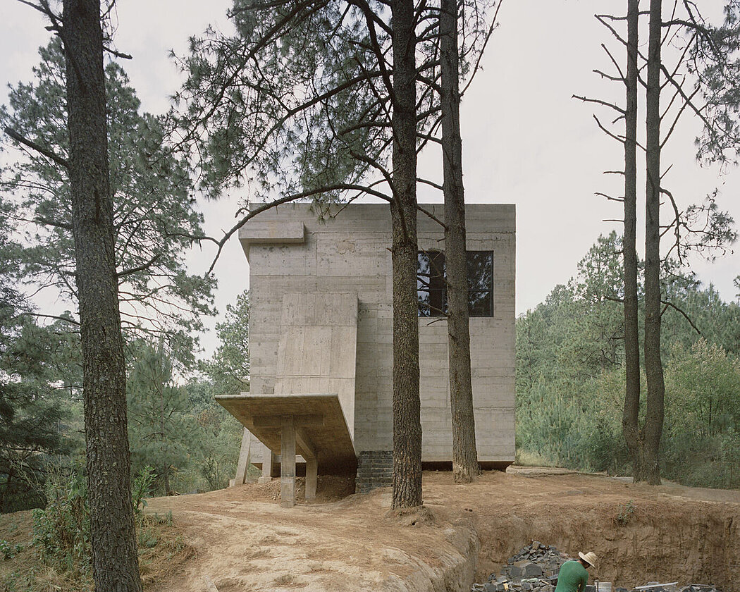 Casa Alférez: The Concrete Haven Among Majestic Pine Trees - 1