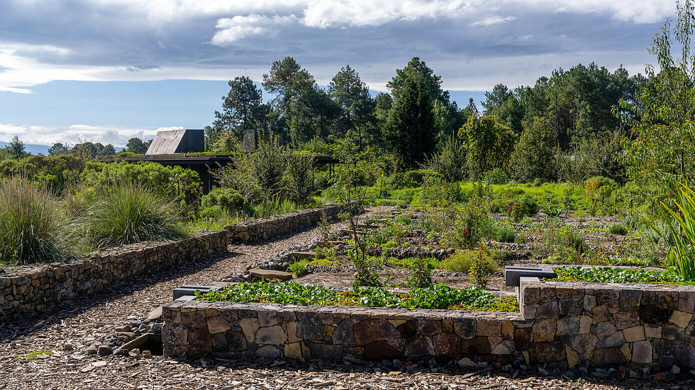 015-rain-harvest-home-robert-hutchison-architecture