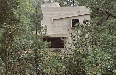 Casa Alférez: The Concrete Haven Among Majestic Pine Trees