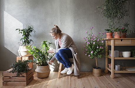 The Future of Food: Exploring Hydroponic Indoor Gardening Trends 2023