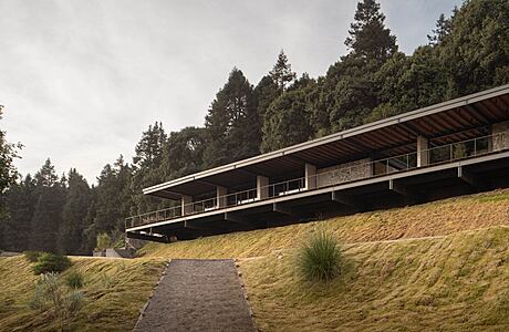 Hipico Piedra Grande: A Forest Sanctuary for Horse Lovers