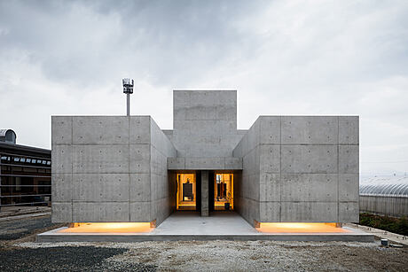 Tranquil House: A Brutalist Oasis Amidst the Bustle - 1