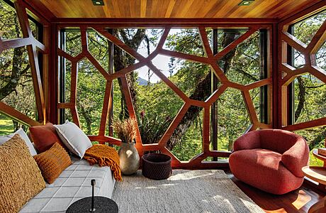 Treehouse: Where Brazilian Wilderness Meets Modern Luxury