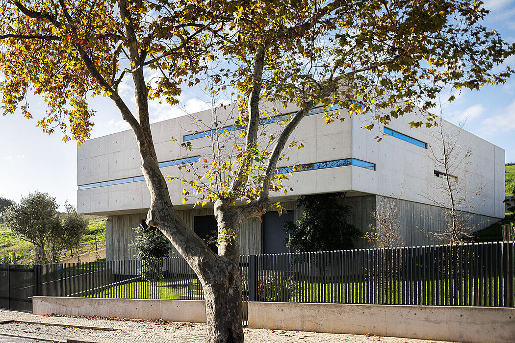Concrete 11: A New Standard in Modern Portuguese Architecture - 1