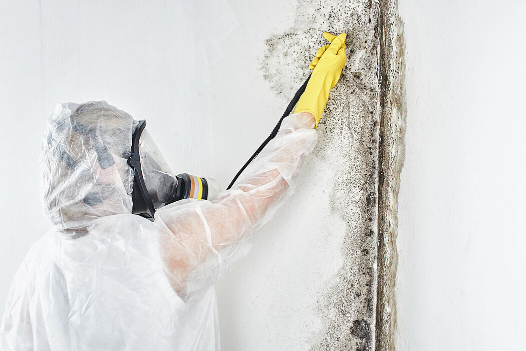 7 Mold Prevention Tips For Your Household - 1