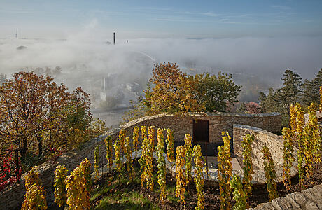 Fibonacci: Reviving Prague’s Historic Jabloňka Winery with Marco Maio