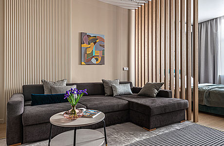 Modern and Functional Apartment: Scandinavian Elegance in Moscow