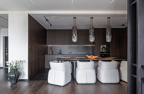 Svitlo Apartment: Elegance in Urban Design