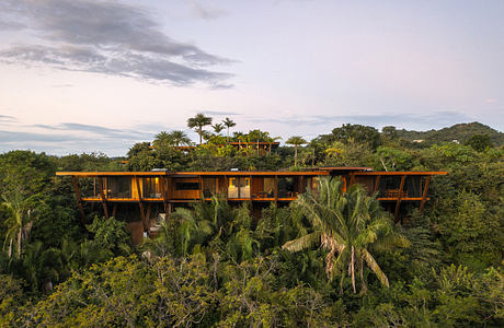 Modern house nestled among tropical trees with a green roof.