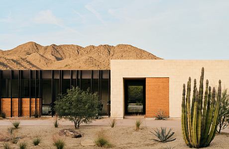 Modern desert home with large windows and cacti in front.