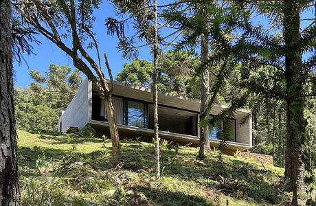 Modern forest cabin with large glass windows nestled among pine trees.