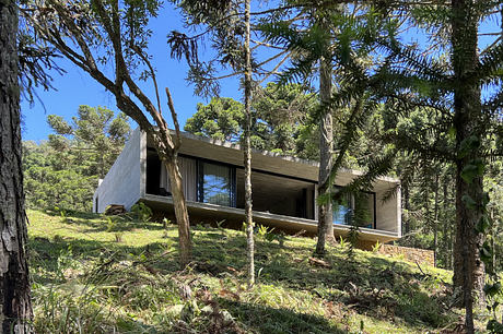 Modern forest cabin with large glass windows nestled among pine trees.