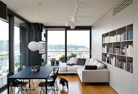 Modern living room with clean lines, large windows, and a cat.