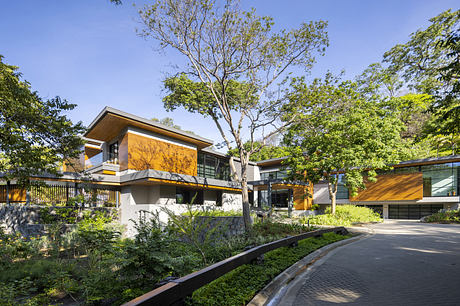 Modern house with wood paneling surrounded by lush greenery.