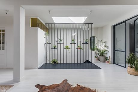 Modern room with white walls, indoor plants, and minimalist decor.