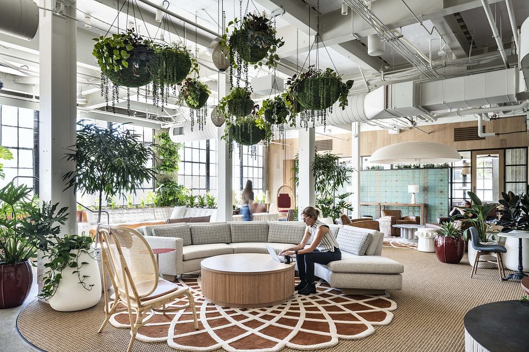 Modern office lounge with hanging plants, circular seating, and natural light.