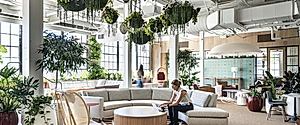 Bay Area Research Company: Where Historic Charm Meets Modern Workspace