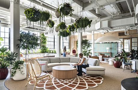 Modern office lounge with hanging plants, circular seating, and natural light.