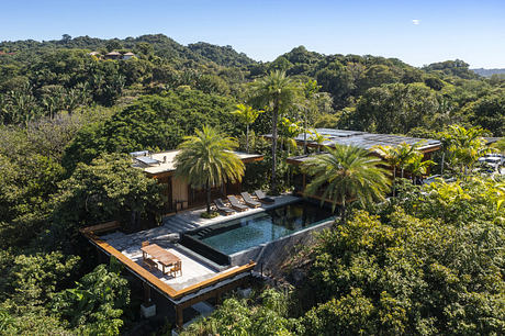 Modern house with pool surrounded by tropical forest.