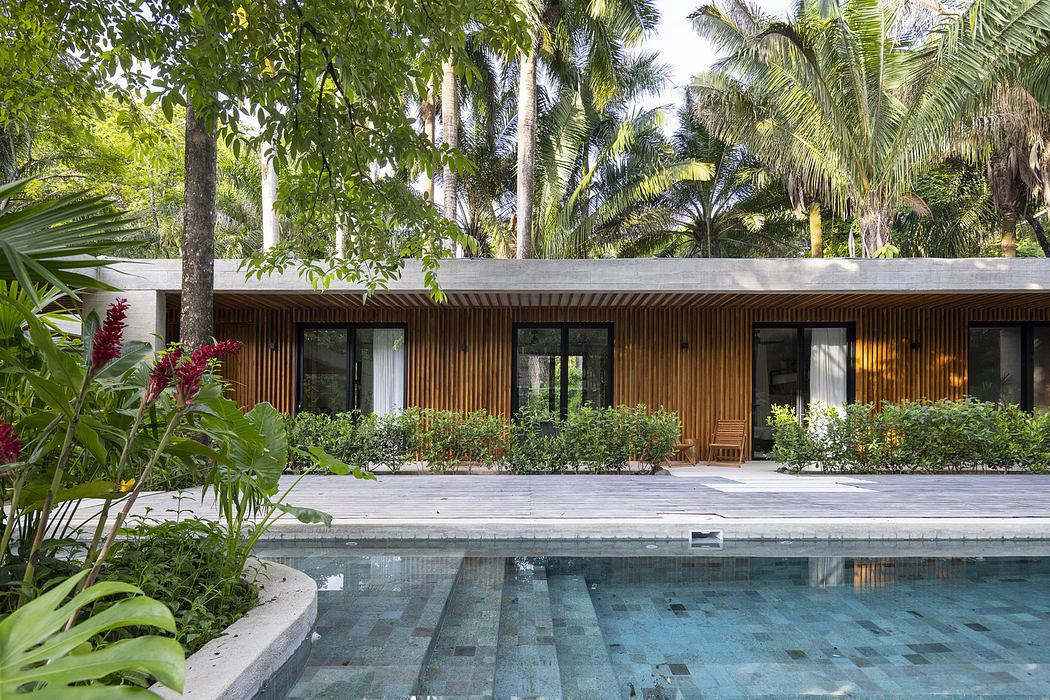 Modern house with a wooden facade, surrounded by palm trees and a pool.
