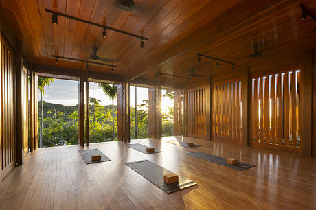 Wooden yoga studio interior with open windows and serene forest view.