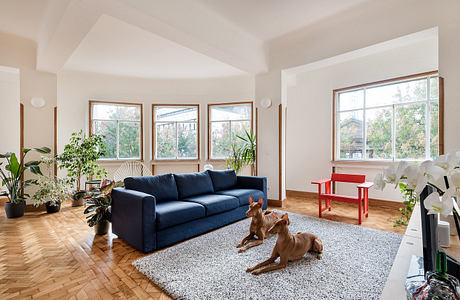 Bright, airy living space with vaulted ceiling, large windows, and a playful