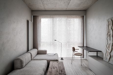 Minimalist living room with a gray sofa, wooden table, and sheer curtains.