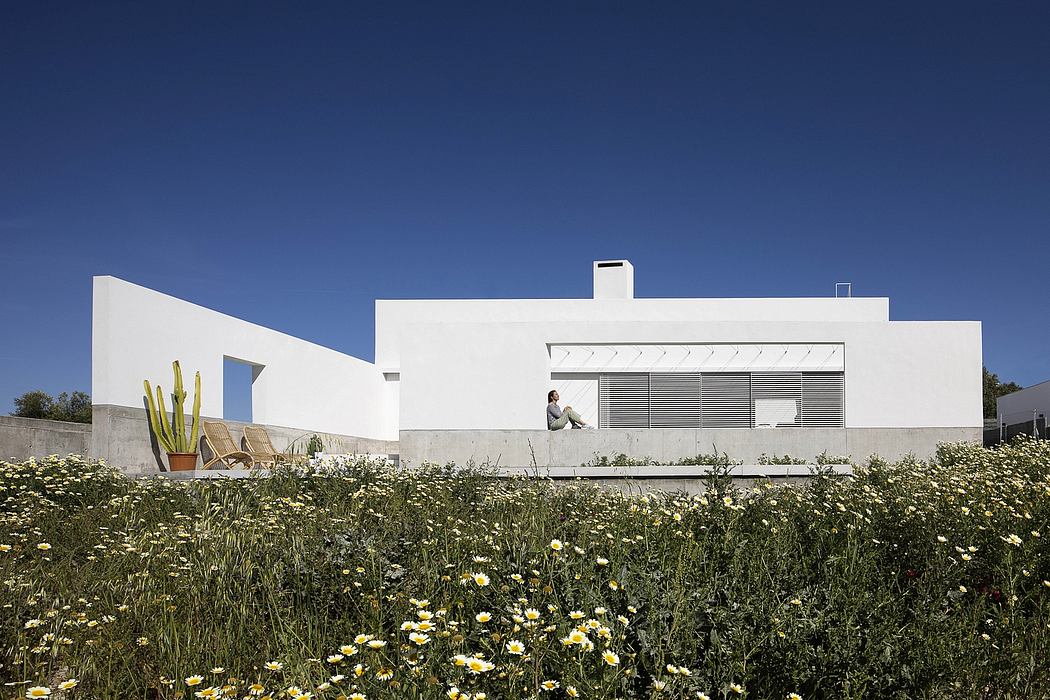 Modern white house with flat roof behind a field of wildflowers.
