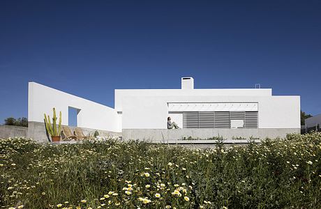 Modern white house with flat roof behind a field of wildflowers.