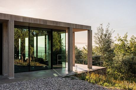 Contemporary glass-walled house with concrete frame amidst greenery.