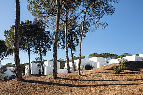 White modern buildings amidst trees on a sunny day.