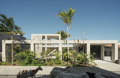 Modern house with concrete facade, palm trees, and a sheep in the foreground.