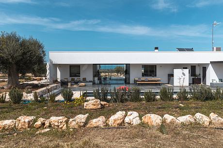 Sleek single-story home with pool and outdoor living space.