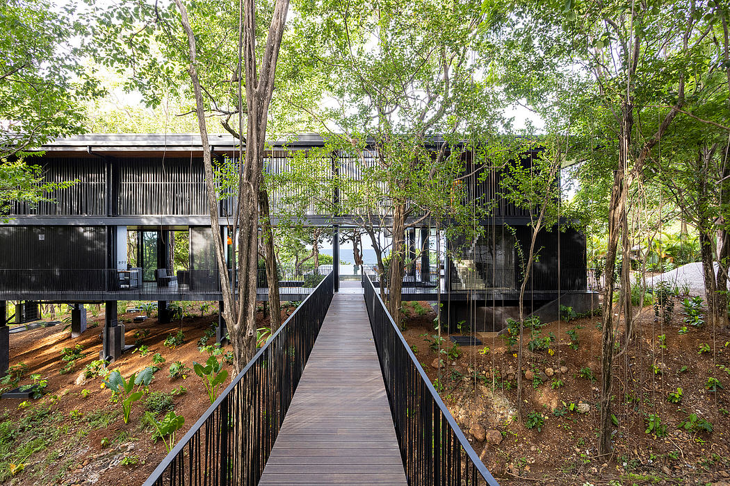 Modern forest cabins connected by a wooden walkway.