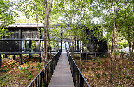 Modern forest cabins connected by a wooden walkway.