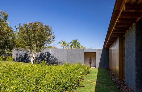 Contemporary walkway with concrete walls, wood paneling, and lush shrub