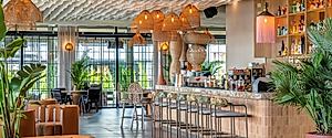 Flamingo Lara: Vibrant Flamingo-Inspired Restaurant