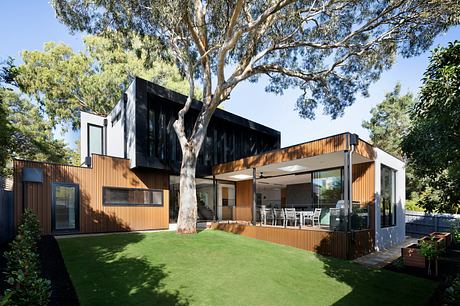 Contemporary two-level house with wood paneling and large tree.