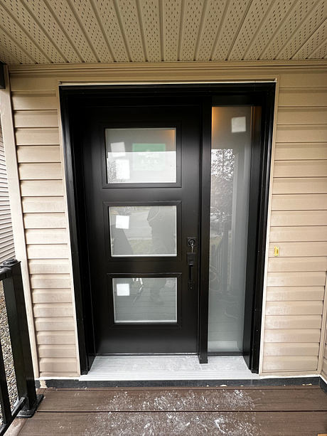 Contemporary black front door with glass panels