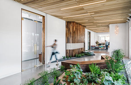 Warm, modern interior with wood-paneled ceiling, greenery, and glass walls.