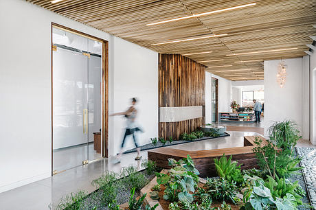 Warm, modern interior with wood-paneled ceiling, greenery, and glass walls.