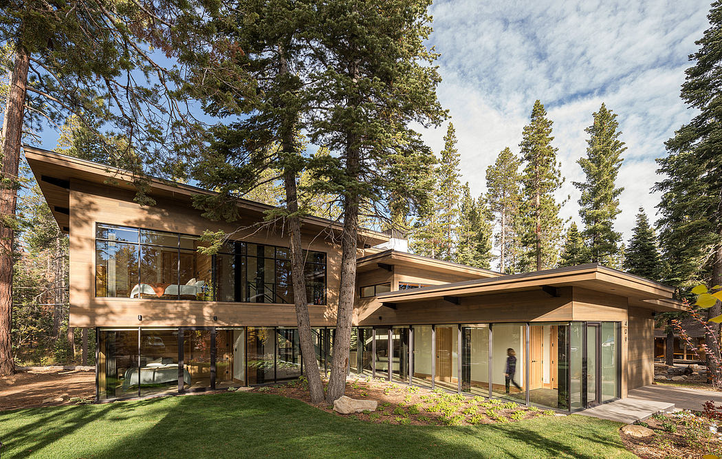 Modern house with large windows surrounded by pine trees.