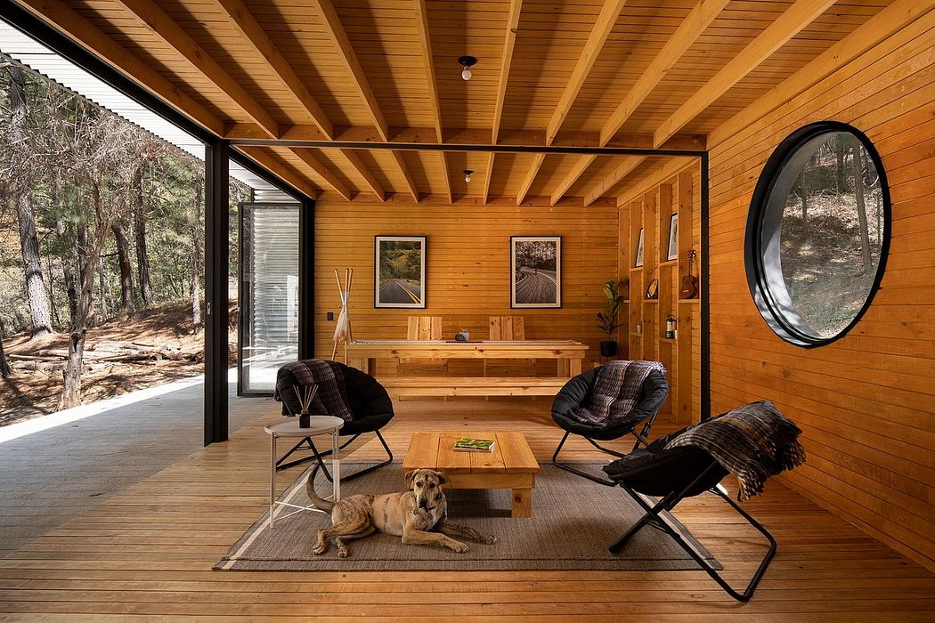 Cozy cabin interior with warm wood paneling, exposed beams, and large windows overlooking nature.
